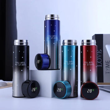 500ml Stainless Steel LED Temperature Bottle
